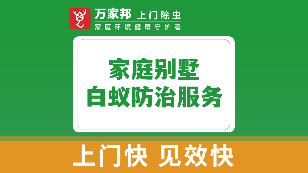 家庭別墅白蟻防治