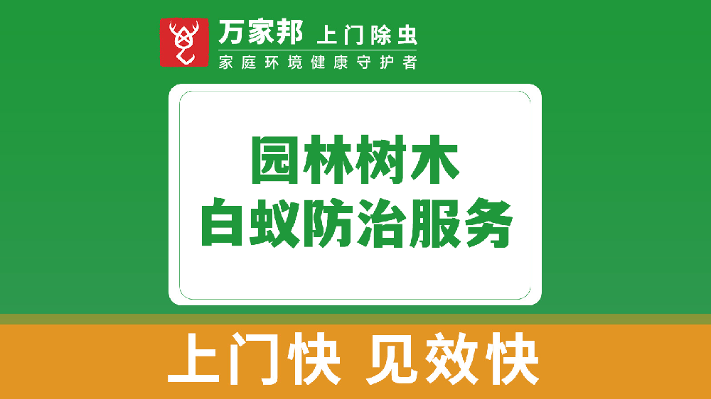 園林樹木白蟻防治