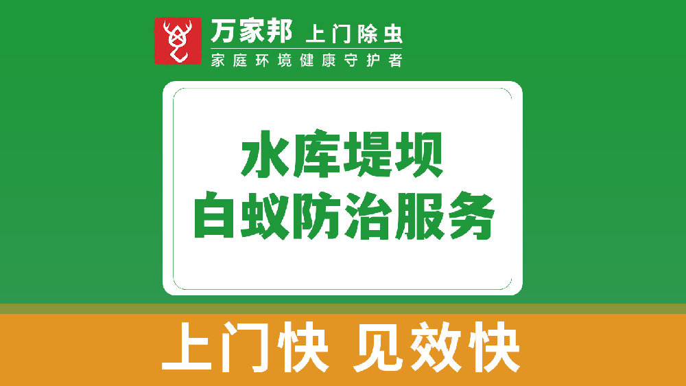 水庫堤壩白蟻防治