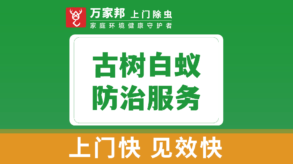 古樹白蟻（yǐ）防治