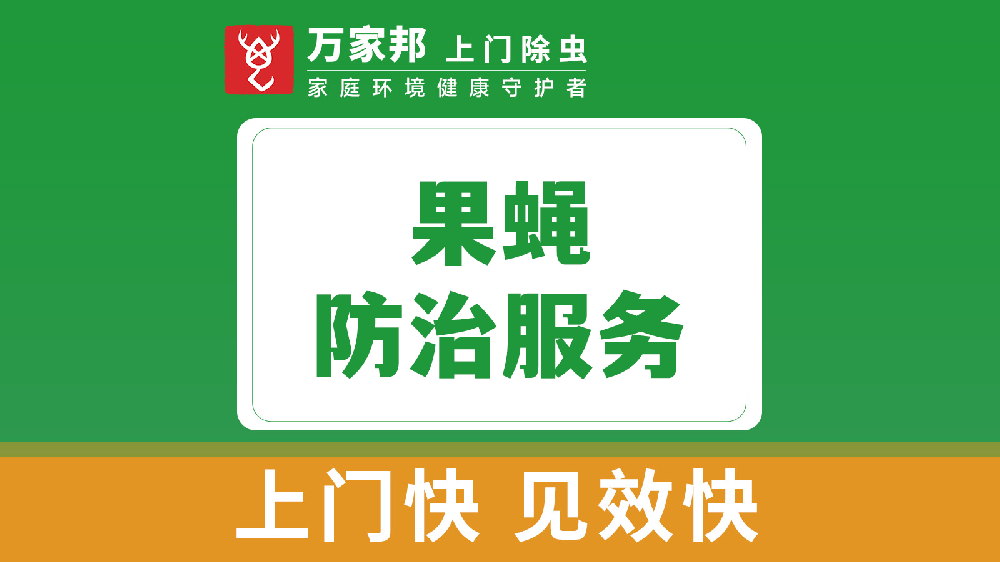果蠅防治服務（wù）