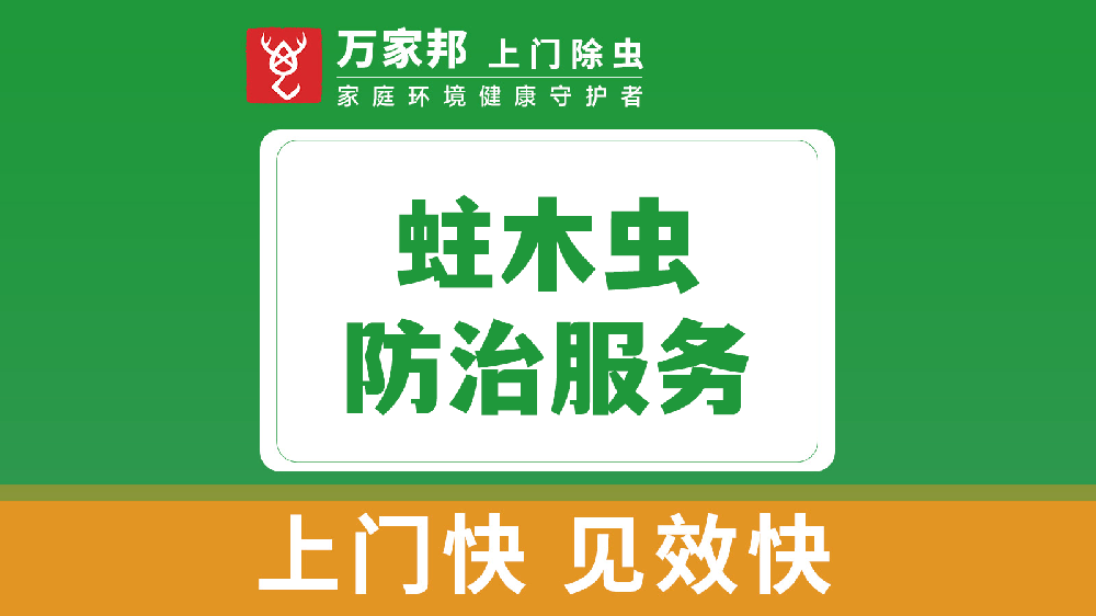 蛀木蟲防治服務