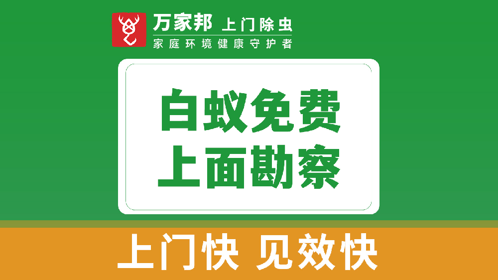 白蟻免費上（shàng）門勘察