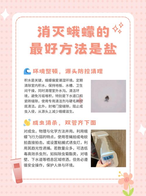 蛾蠓蟲害防治怎麽辦？實（shí）用管理技巧培訓課（kè）件分享